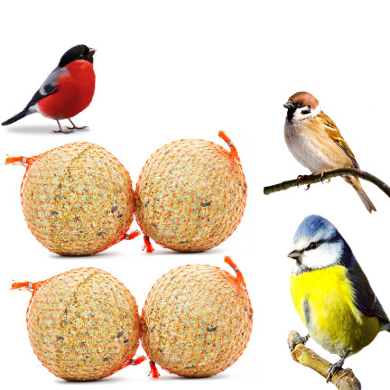 Winterkugeln für Wildvögel, Futter, Samen, Getreide, Energiequelle für den Winter, für Futterhäuschen, 4tlg.