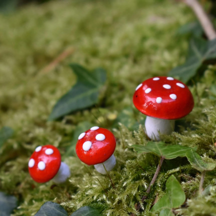CV33985 FLIEGENPILZE AUF FEDER KUNSTPILZE PILZE ORNAMENTE HERBST DEKORATIONEN FLIEGENPILZE