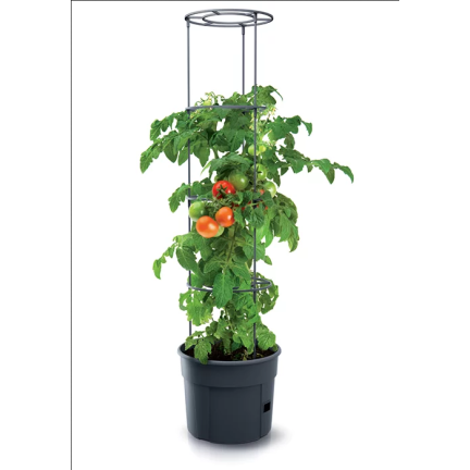IPOM300-S433 TOMATENZÜCHTER-TOPF TOMATENZÜCHTER-TOPF