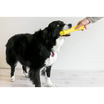 TG56080 Žvýkací kostka s pískátkem DOG TOY