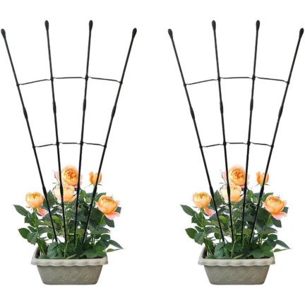 TG81366 Pergola, fan-shaped trellis, plant support for potted plants, trellis (2-pack)