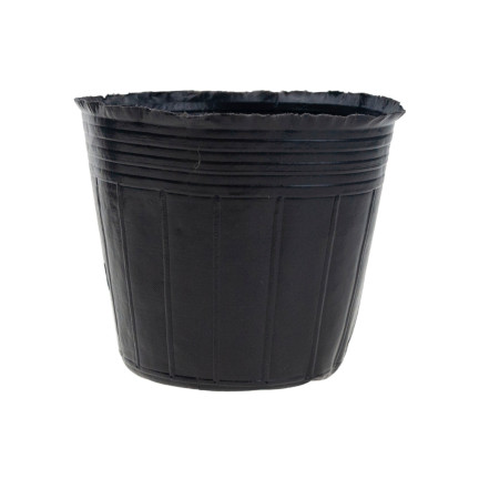 TG70299 Seedling Pots, 6 × 6 cm, 10 pcs