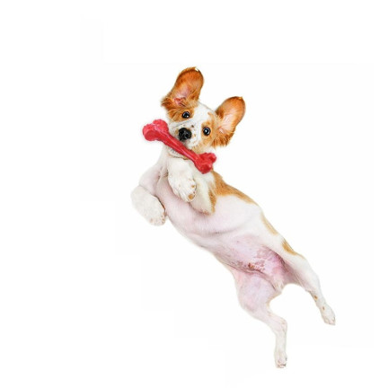 TG56080 Žvýkací kostka s pískátkem DOG TOY