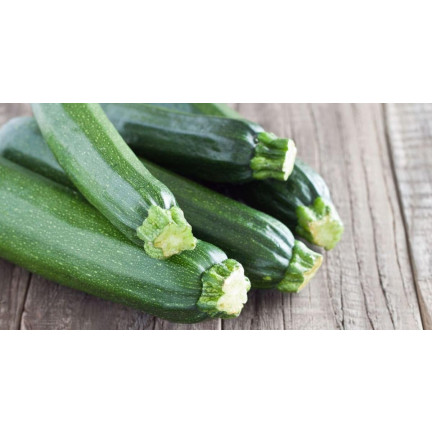 W1031 ZUCCHINISAMEN ZUCCHINI KÜRBIS NEFERTITI GEMÜSE GRÜN LECKER 3G