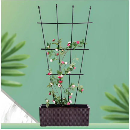 TG81366 Pergola, fan-shaped trellis, plant support for potted plants, trellis (2-pack)
