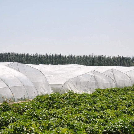 TG71987 INSEKTENSCHUTZNETZ FÜR BETTEN 2,5X50M 60 MESH