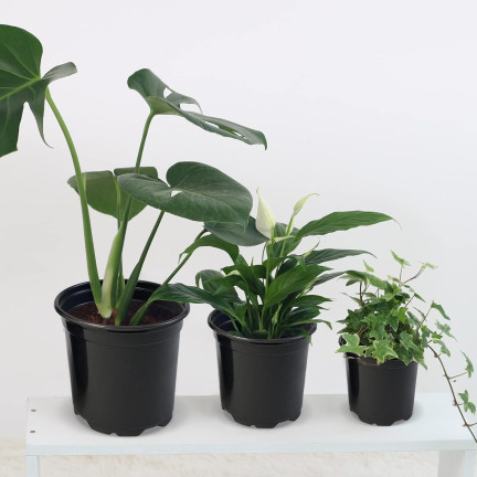 TG72941 VÝROBNÍ KVĚTINÁČ P24 7,5L KULATÝ KVĚTINÁČ S OKRAJEM 24X24CM