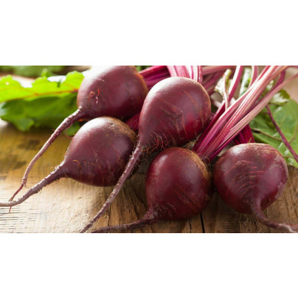 T8001 ROTE BETE AUF BAND ROTE KUGEL SAATBAND ROTE BETE SAMEN 6M