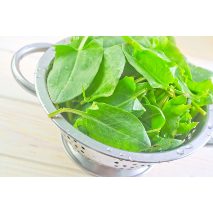 W1232 SZCZAW NASIONA WIELOLETNI WITAMINY ŻELAZO POTAS MROZOODPORNY 3G