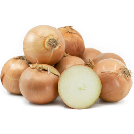 W8674 WINTERZWIEBEL WINTERZWIEBELSAATGUT AUGUSTA 2G