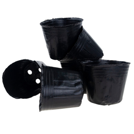 TG70299 Seedling Pots, 6 × 6 cm, 10 pcs