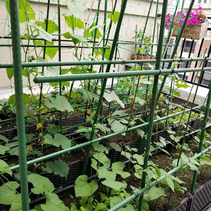 Tomato stakes, plant stakes, garden supports for cucumbers, 40 pcs./set, 8 mm x 80 cm