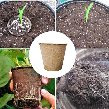 201277 BIODEGRAD BIODEGRAD PLANT PACKS 6 cm 60 Stk.