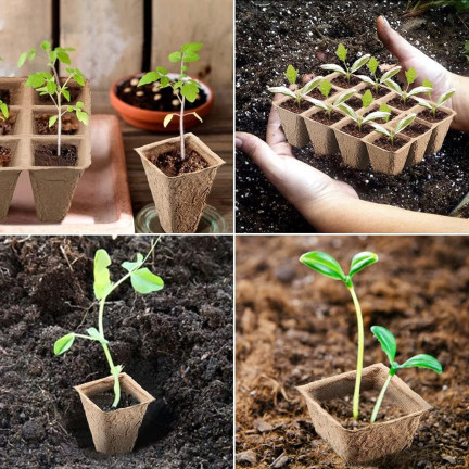 TG67368 Torf Pflanzentöpfe für Setzlinge 10 Schalen 120 Stück