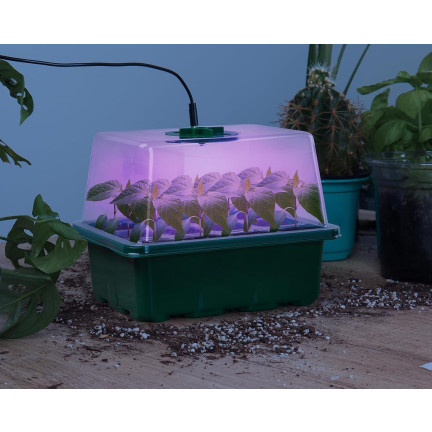 TG77615 Sada 5 mini skleníků pro sazenice s LED osvětlením, ideální pro klíčení a růst rostlin, startovací misky