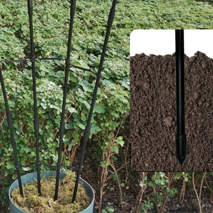 TG81366 Pergola, fan-shaped trellis, plant support for potted plants, trellis (2-pack)