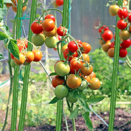 Tomato stakes, plant supports, garden stakes for cucumbers, 40 pcs./set, 11 mm x 120 cm