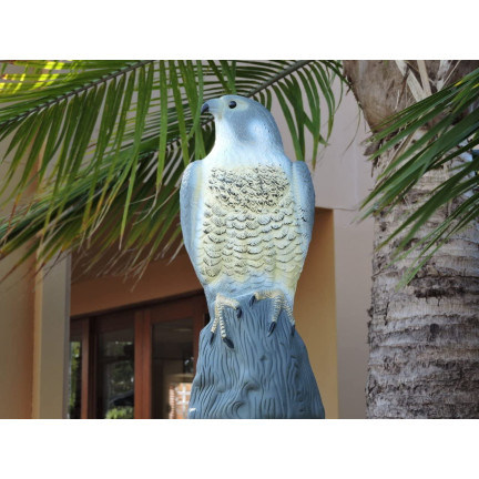 TG60292 FALKE GROSS VOGEL ABSCHRECKUNG STARE TAUBEN 40CM