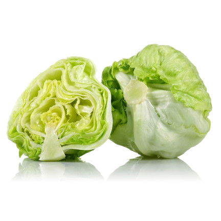 W1212 KNACKIGER EISBERGSALAT KÖNIGIN DES SOMMERS FRÜHGEMÜSESALAT SAMEN 1G