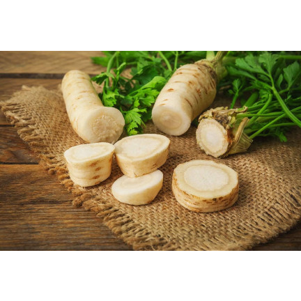 W1148 PETRŽEL KOŘENOVÁ PETRŽEL SEMENA RANÁ ZELENINA 5G