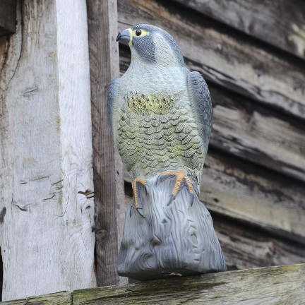TG60292 FALKE GROSS VOGEL ABSCHRECKUNG STARE TAUBEN 40CM