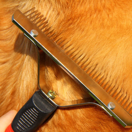 Bürste hund haar kamm kamm gross