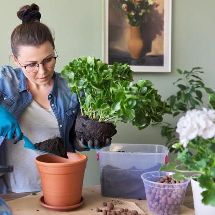 BIO7 BIOVITA UNIVERSALERDE 20L FÜR BLUMEN UND GRÜNPFLANZEN