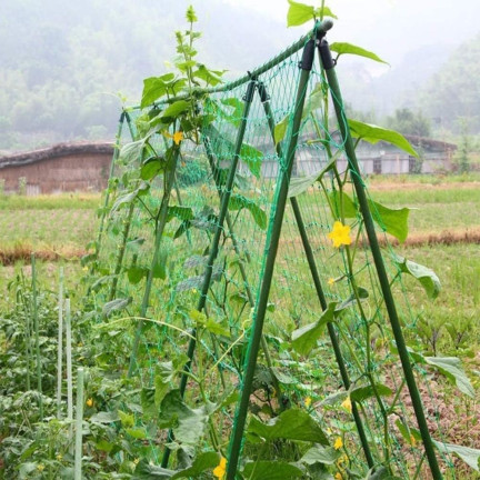 TG71978 GITTERSTÜTZE FÜR BLUMENPFLANZEN 0,9x2,7M