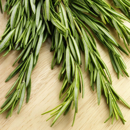 Z3028 ROZMARÝN AROMATICKÁ BYLINA SEMENA TRVALKA 0,1G