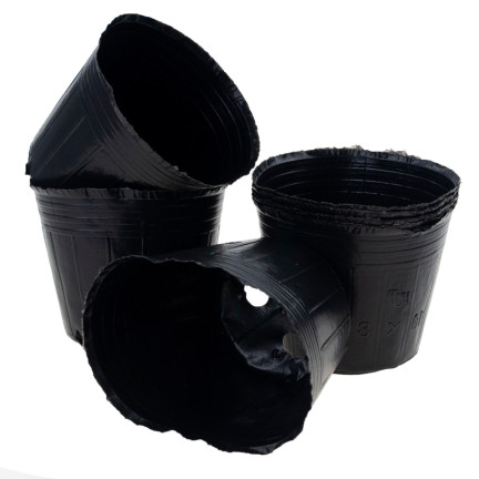 TG70299 Seedling Pots, 6 × 6 cm, 10 pcs