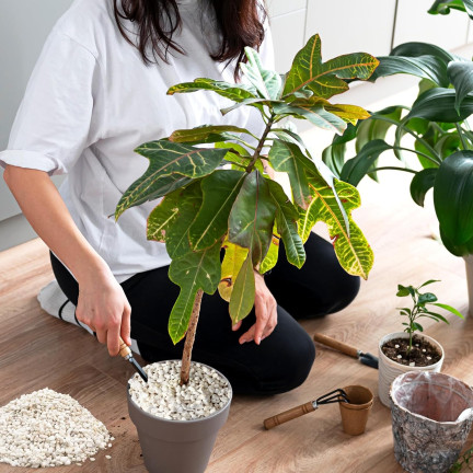 BIO2 BIOVITA GARTENBAU-PERLIT 10L NATÜRLICHER BODENVERBESSERER BODENZUSATZ