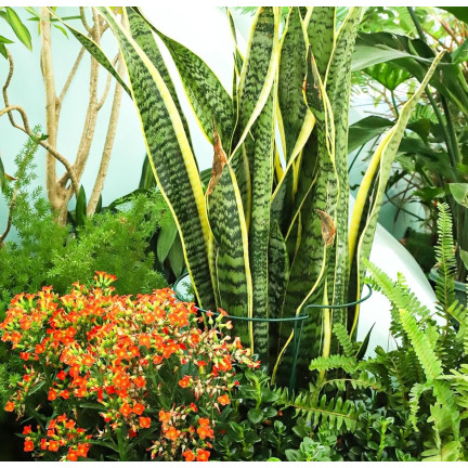 TG77640 Kruhová podpěra, kovová podpěra, podpěra pro květiny, 35cm 2ks.