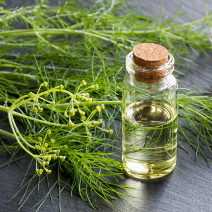 Z3013 FENCHELKRAUTSAMEN FENCHELGEWÜRZ VERDAUUNGSSYSTEM 1G