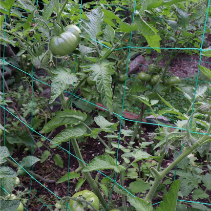 TG71978 GITTERSTÜTZE FÜR BLUMENPFLANZEN 0,9x2,7M