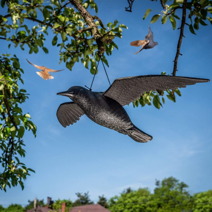 TG60298 RABE VOGELABSCHRECKUNG IM FLUG HÄNGEND GROSS FÜR BALKON