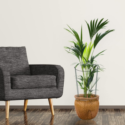 TG77640 Kruhová podpěra, kovová podpěra, podpěra pro květiny, 35cm 2ks.