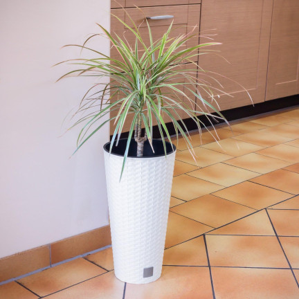 DRTUS200-S449 BLUMENTOPF HOCH RATTAN RATO TUB WEISS