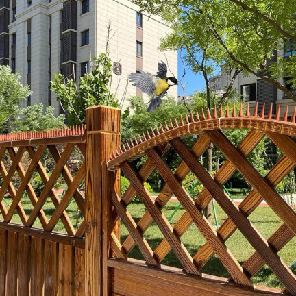 TG71387-2 Bird spikes for pigeons and small animals (1 pc.) Bird repellent strip for birds, cats, and martens