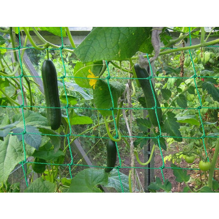 TG71978 GITTERSTÜTZE FÜR BLUMENPFLANZEN 0,9x2,7M