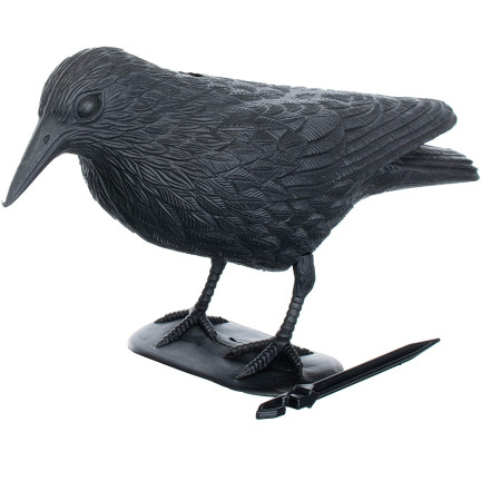 AP8 Large Raven Bird Repeller for Pigeons and Starlings