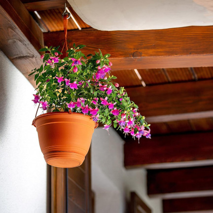 DAGW1-R624 Hanging Planter with Hook and Bracket, Terracotta, Round Hanging Balcony Planter with Hook for Flowers
