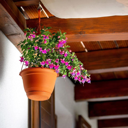 DAGW5-R624 27 cm round hanging balcony planter with hook, 4.5 L
