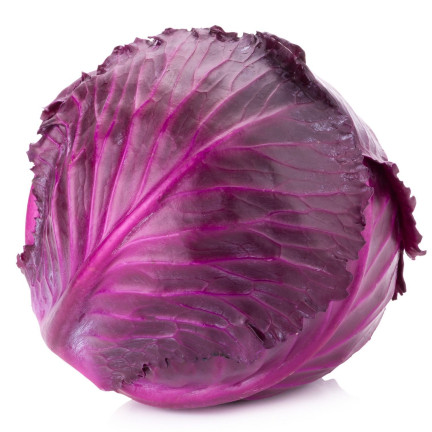 W1086 KOHLSAMEN KOPF ROTMARDER MITTELFRÜH FÜR SALATE