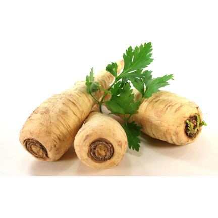 W1148 PETRŽEL KOŘENOVÁ PETRŽEL SEMENA RANÁ ZELENINA 5G