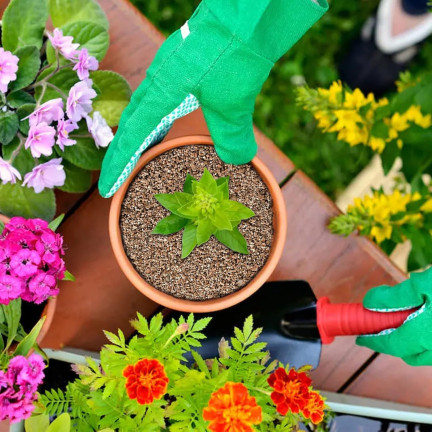 BIO1 BIOVITA GARTENBAU VERMICULIT NATÜRLICH 1-5MM 5L BODENHILFSSTOFF