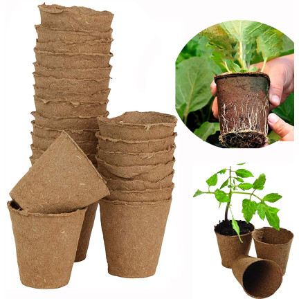 201277 BIODEGRAD BIODEGRAD PLANT PACKS 6 cm 60 Stk.