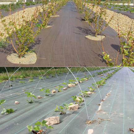 TG77638 Silná agrotextilie proti plevelům, agrotextilie 2x20m, černá na plevel, 40m2