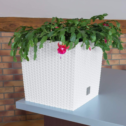 DRTS170L-S449 RATTAN GEHÄUSE TOPF WEISS FÜR GARTEN RATO NIEDRIGEN BLUMEN