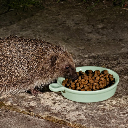 Food for wild hedgehogs, complete feed mix, high in protein, Turdus 500g