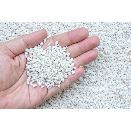 BIO2 BIOVITA GARTENBAU-PERLIT 10L NATÜRLICHER BODENVERBESSERER BODENZUSATZ